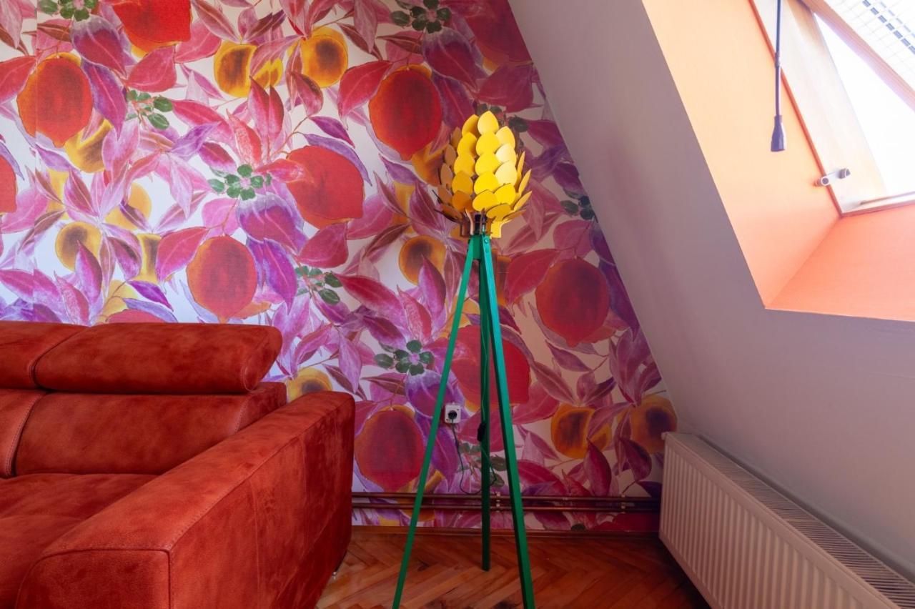 Apartment Amore Mio Ґолубац Екстер'єр фото